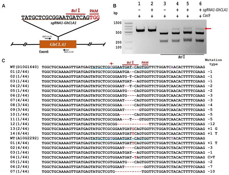 FIGURE 4