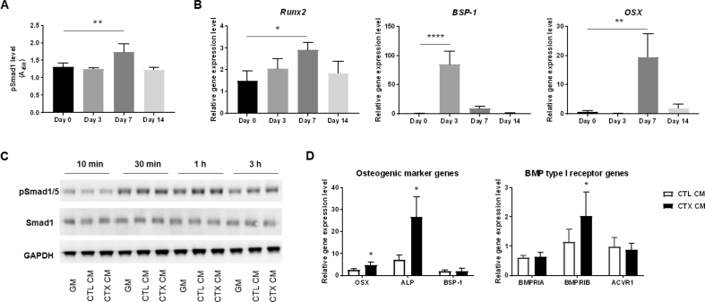 Figure 2