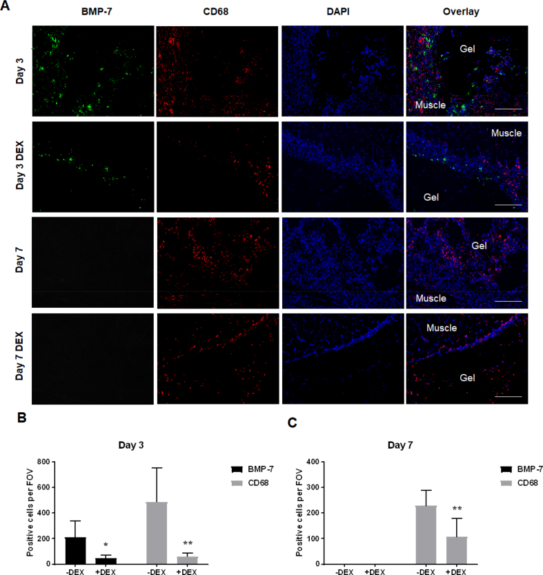 Figure 6