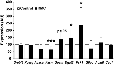 FIG. 8.