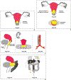 Fig. 1—