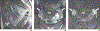 Fig. 8—