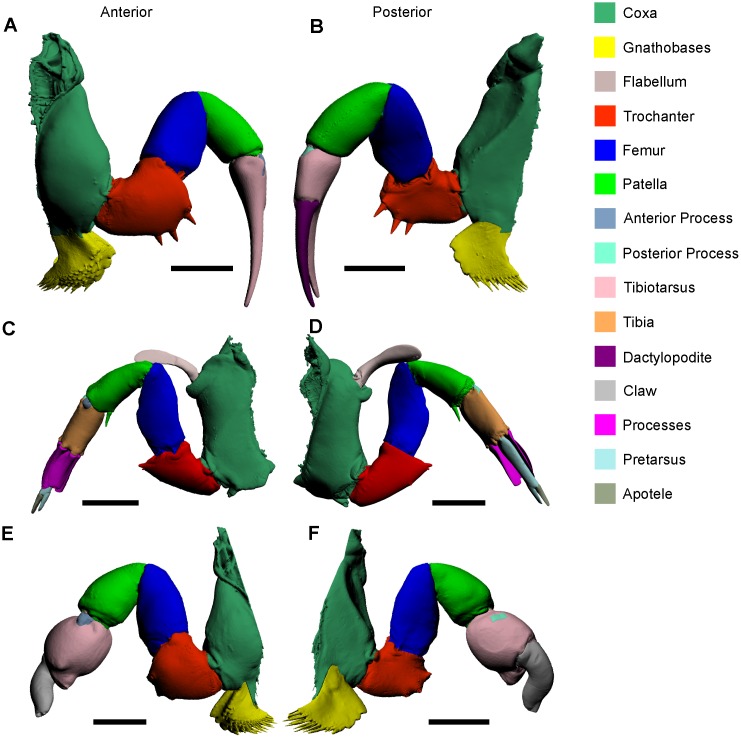 Fig 3