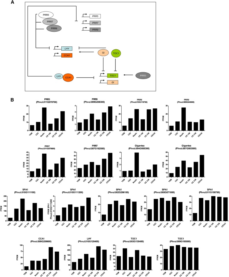 Figure 7.