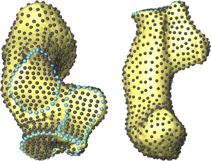 FIGURE 2