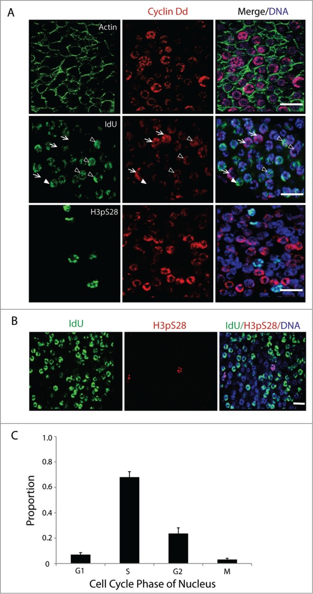 Figure 2.