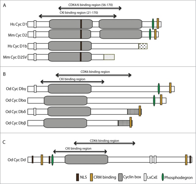 Figure 1.