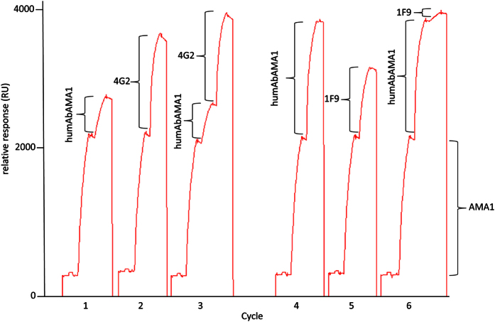 Figure 7