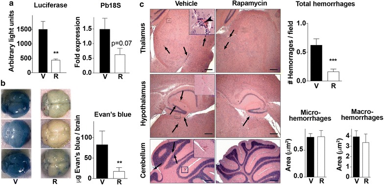 Fig. 6