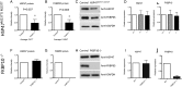 Figure 3.