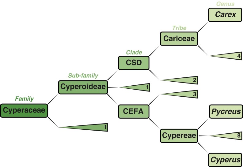 Fig. S3.