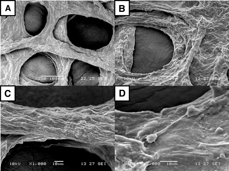 FIG. 8.