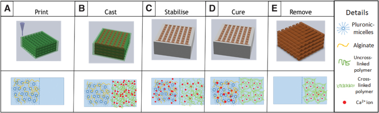 FIG. 1.