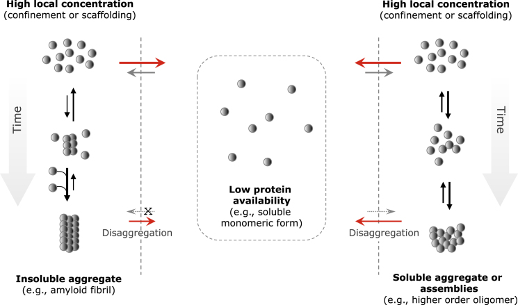 Figure 5