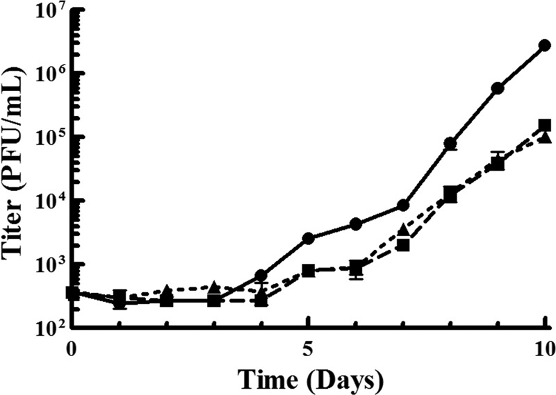 Fig 5