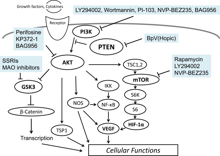 Fig. (3)