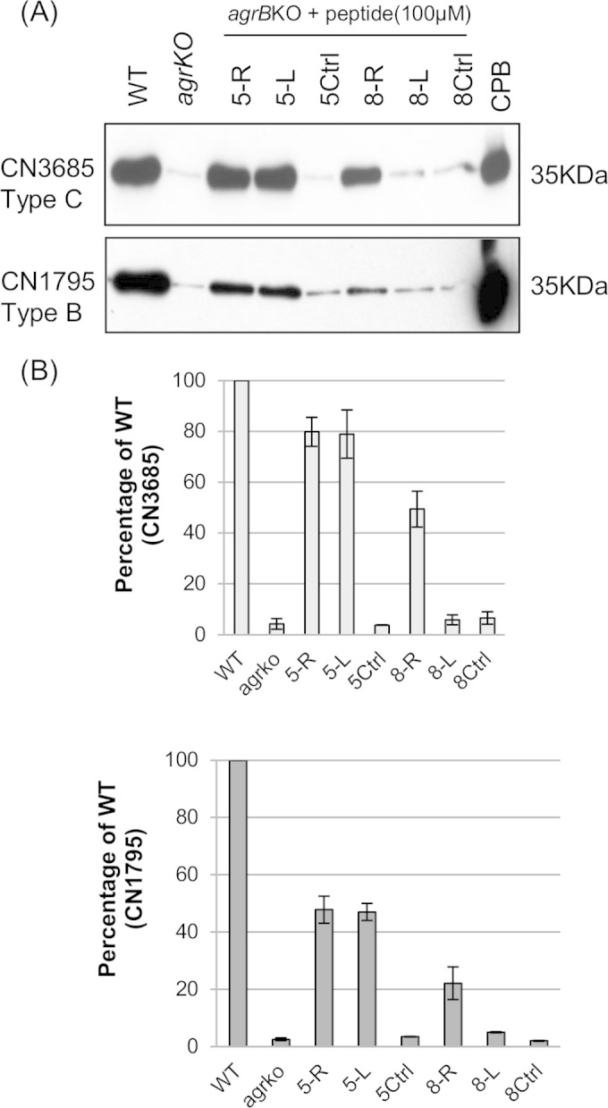 FIG 2