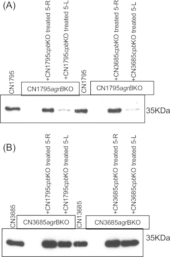 FIG 8