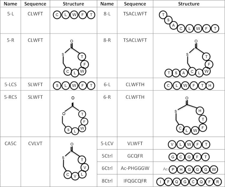 FIG 1