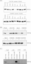 FIG 9