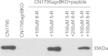 FIG 10