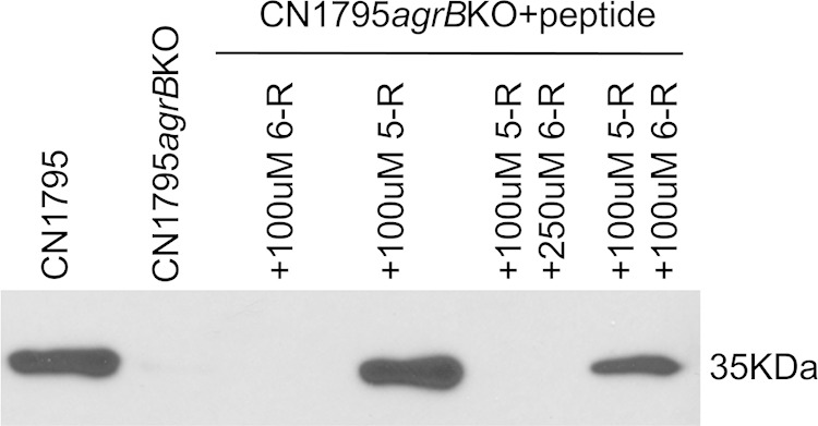 FIG 10