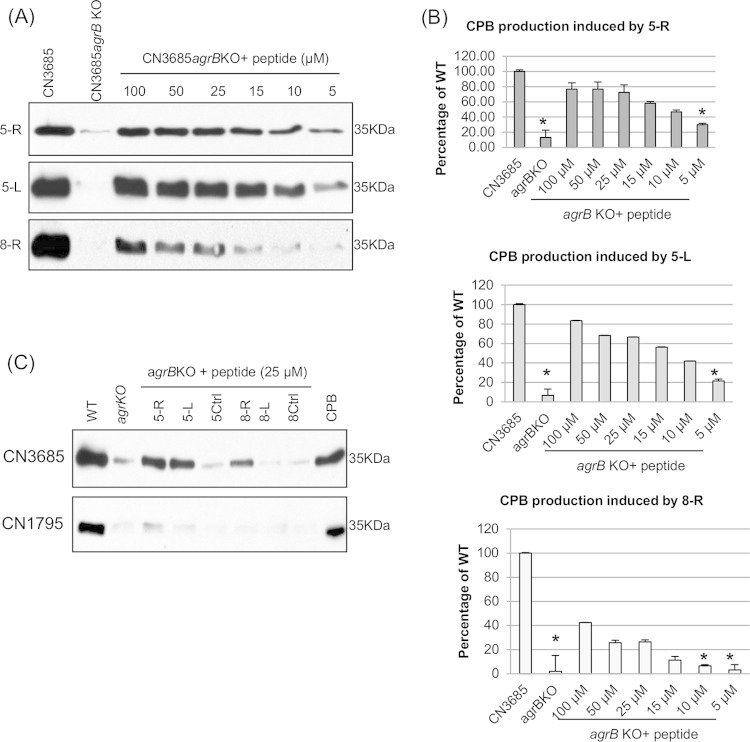 FIG 3