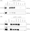 FIG 5