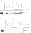 FIG 7
