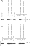 FIG 8
