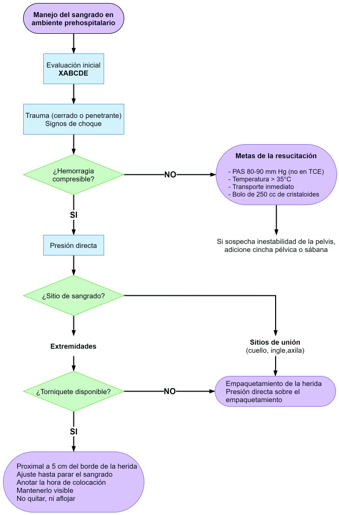 Figura 3