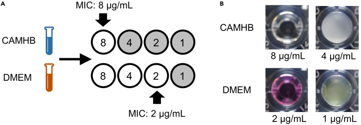 Figure 3