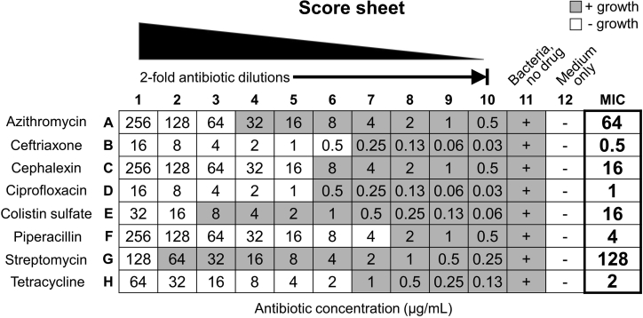 Figure 4