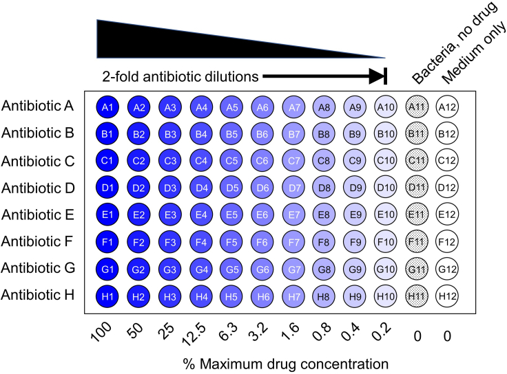 Figure 2