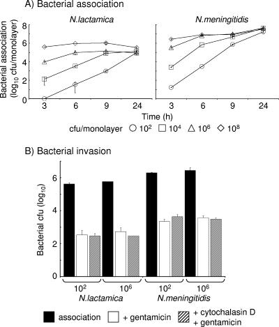 FIG. 1.