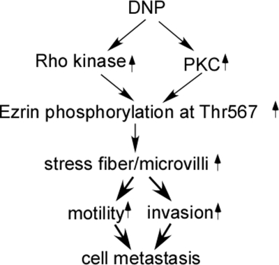 FIGURE 10.