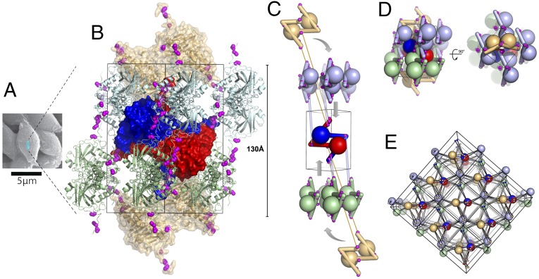 Fig. 3.