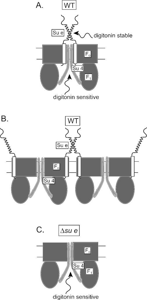 FIG. 5.