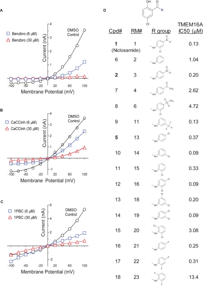 FIGURE 11