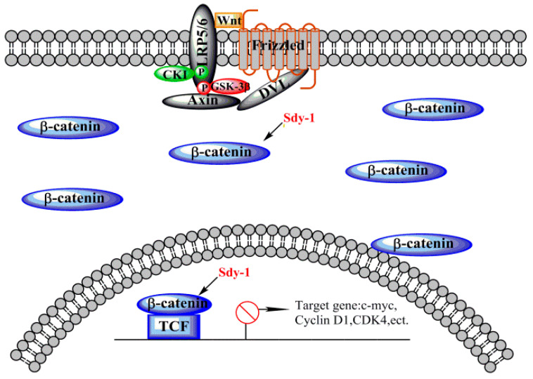 Figure 9