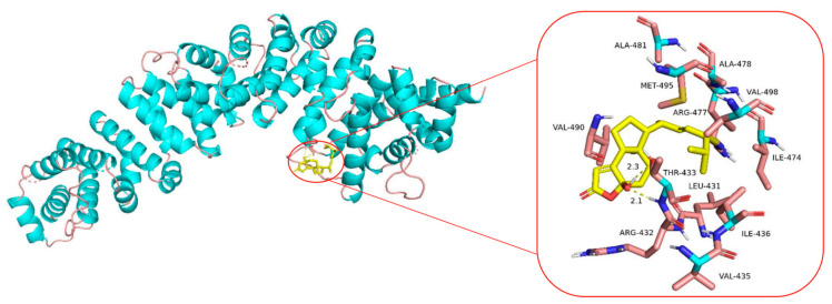 Figure 7