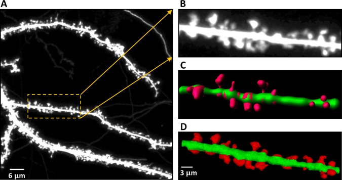 Figure 6