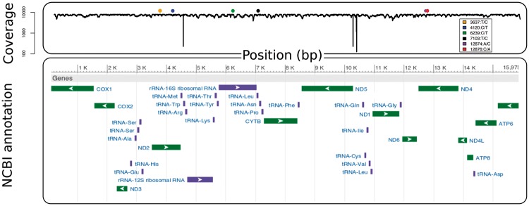 Fig. 2.