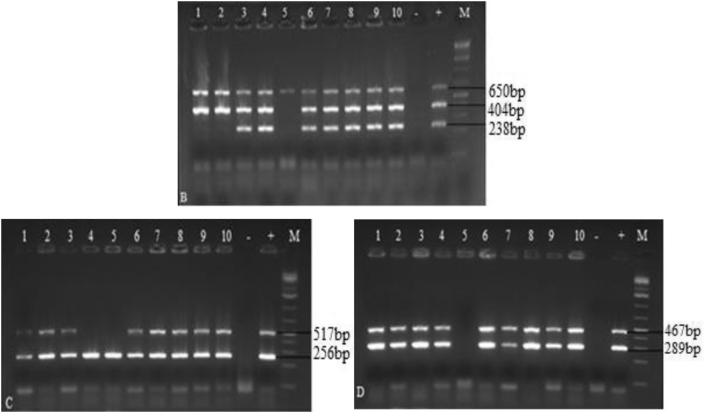 Figure 2