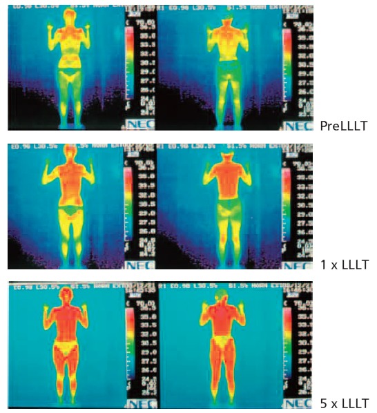 Fig. 1: