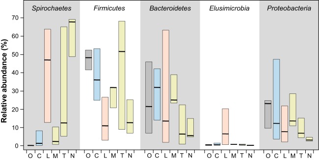 FIG 1