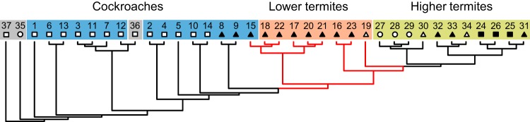 FIG 6