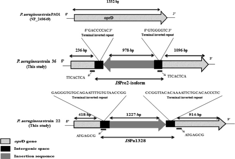 FIG 1