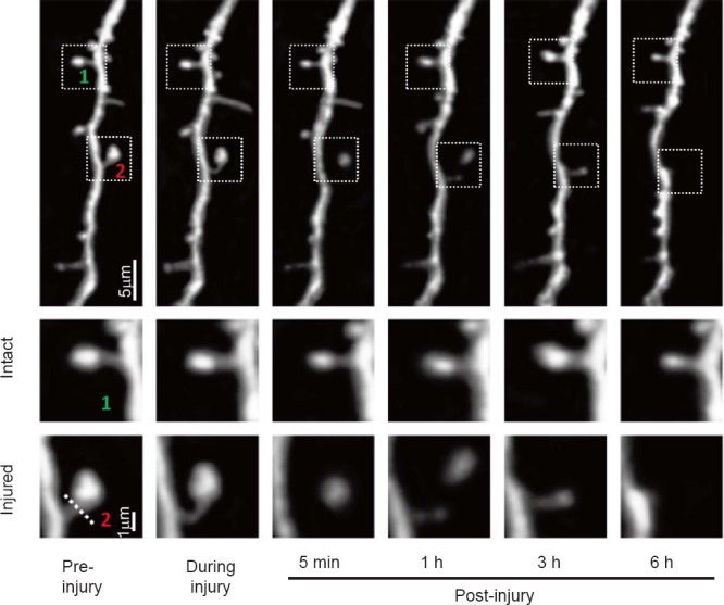 Figure 3