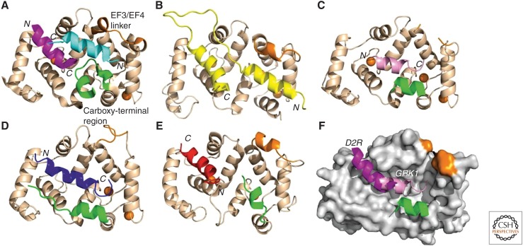 Figure 6.